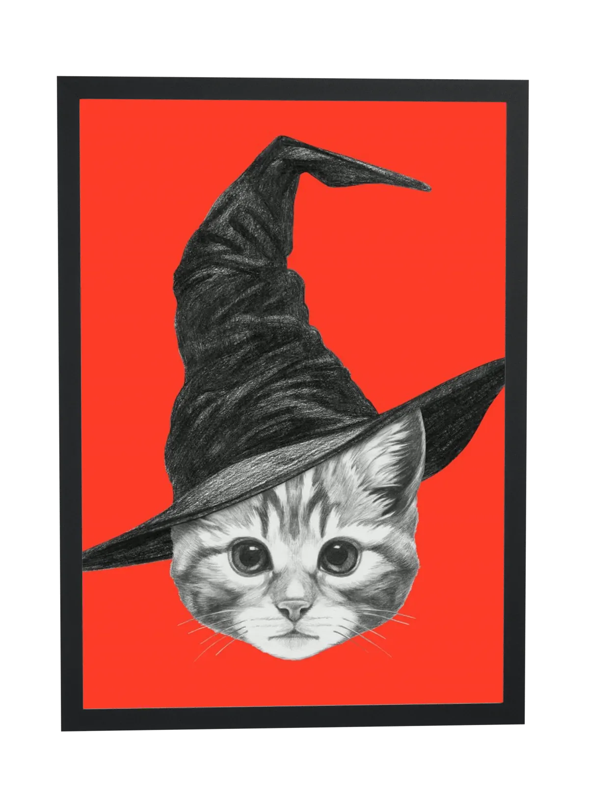 Gatinho de chapéu de bruxa