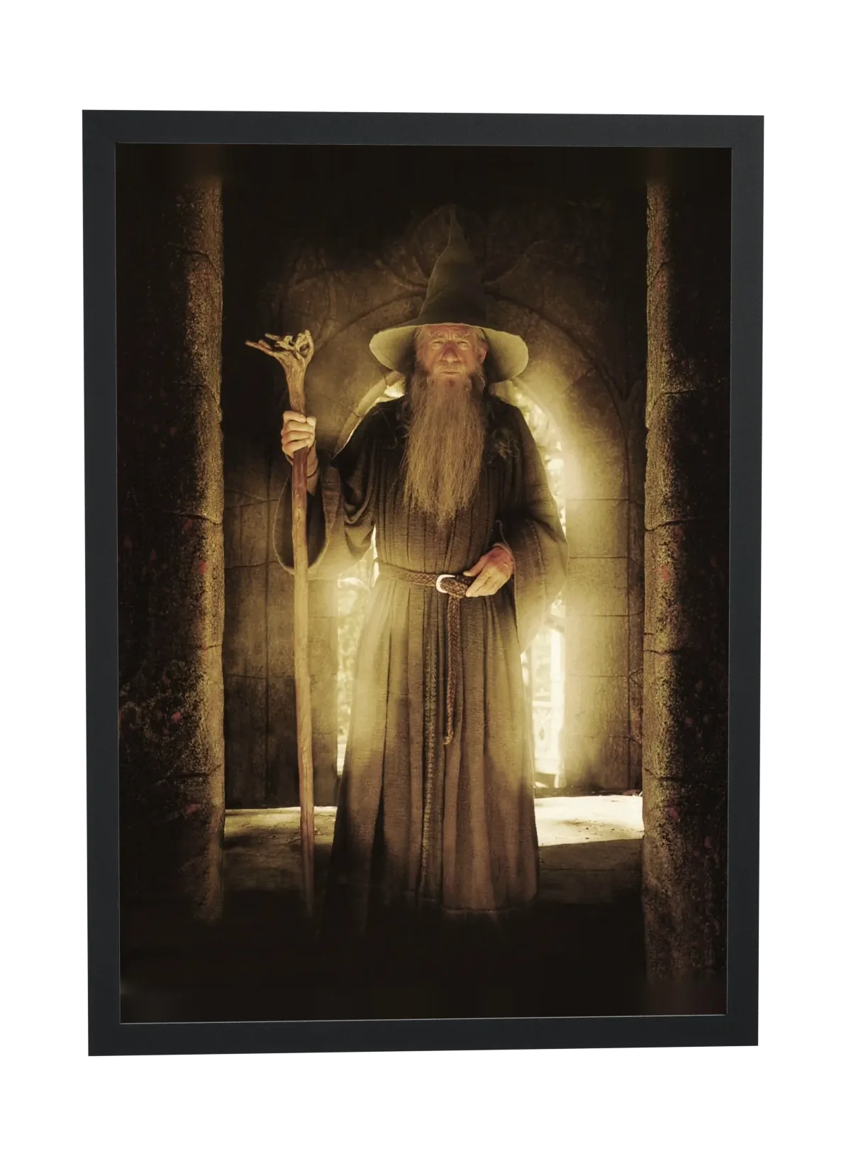 O Senhor dos Anéis A Sociedade do Anel (2001): Gandalf