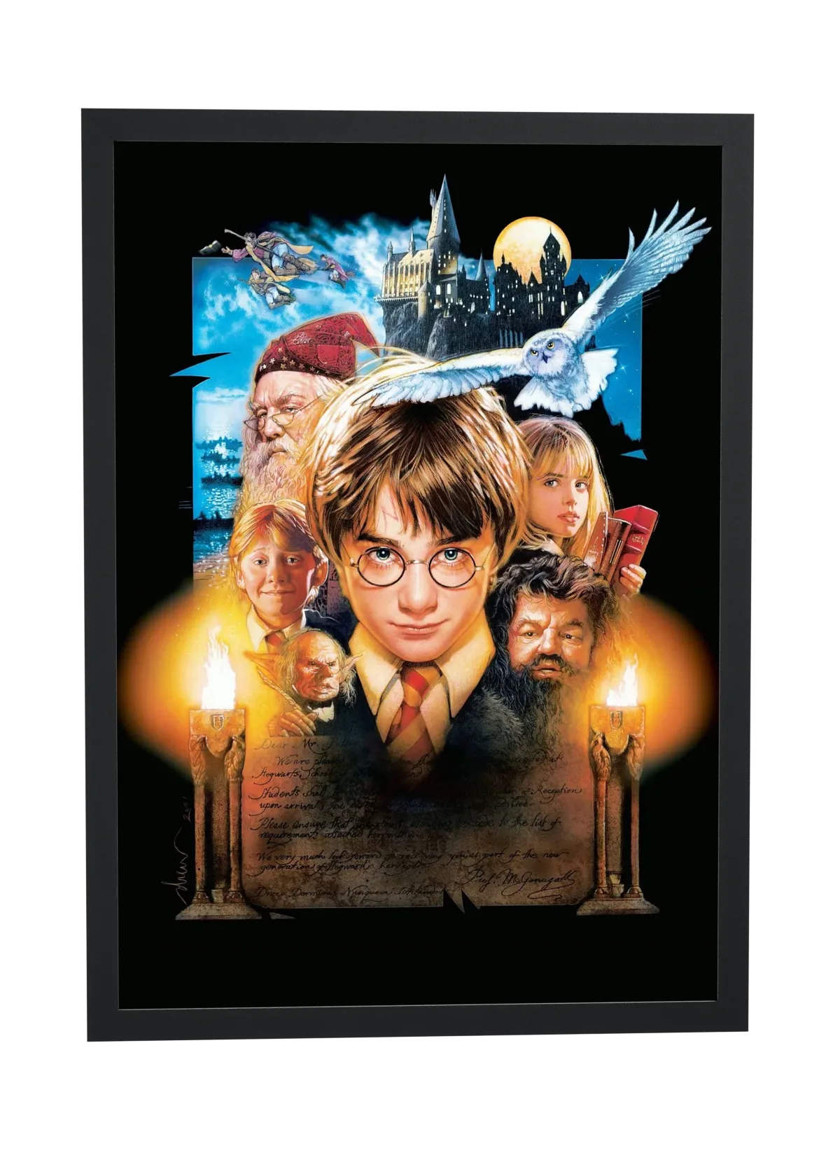 Harry Potter e a Pedra Filosofal (2001): Harry e Hedwig