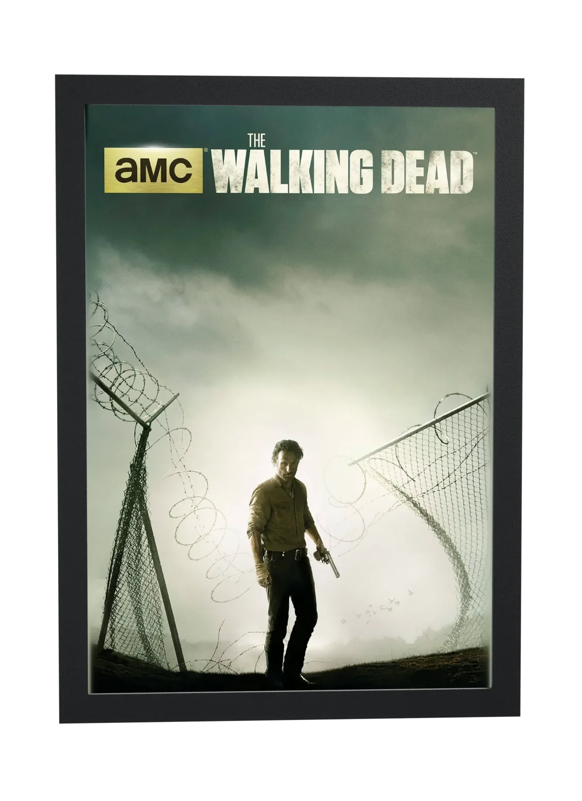 The Walking Dead (2010): entre as cercas
