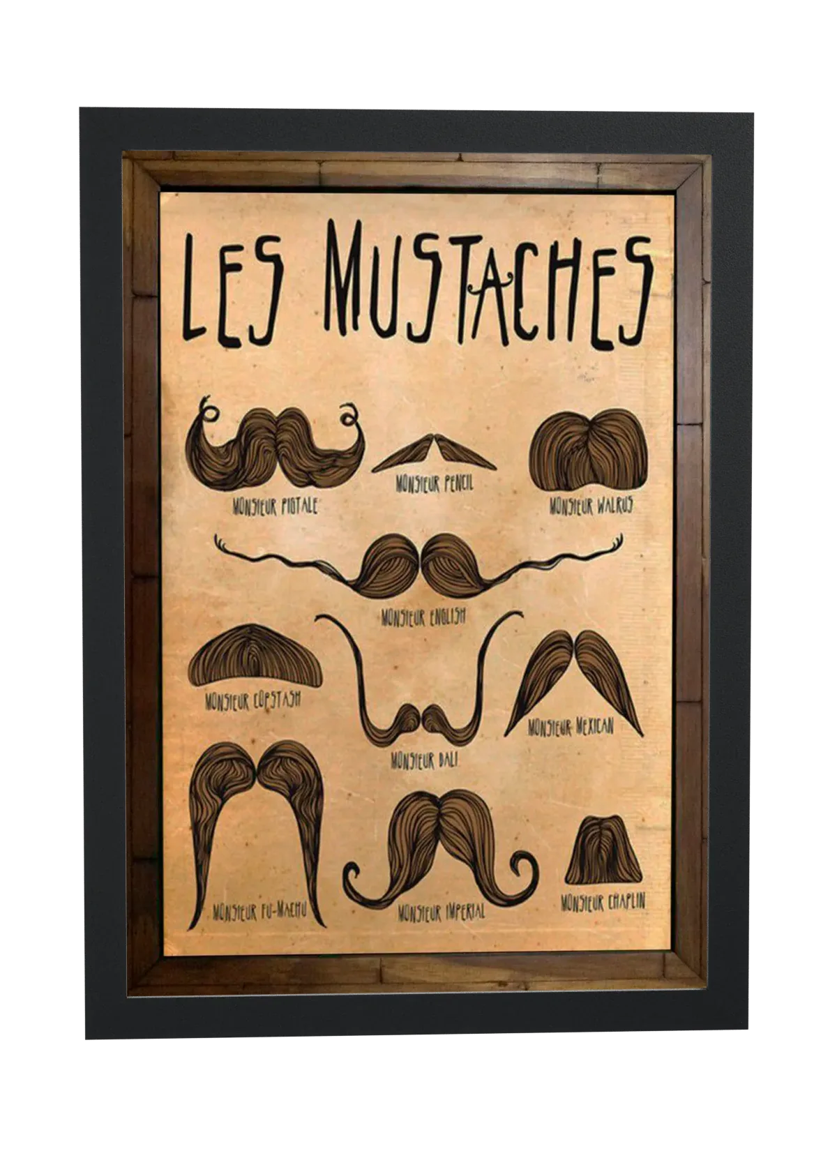 Guia ilustrado de bigodes