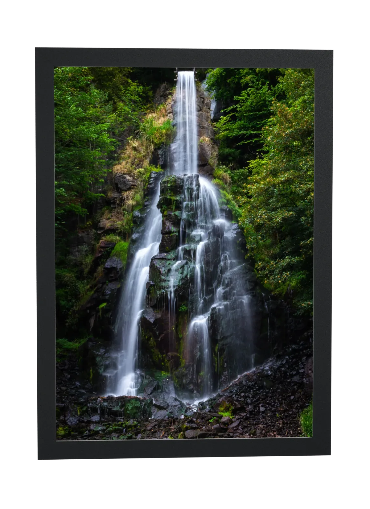 Cachoeira em meio à mata