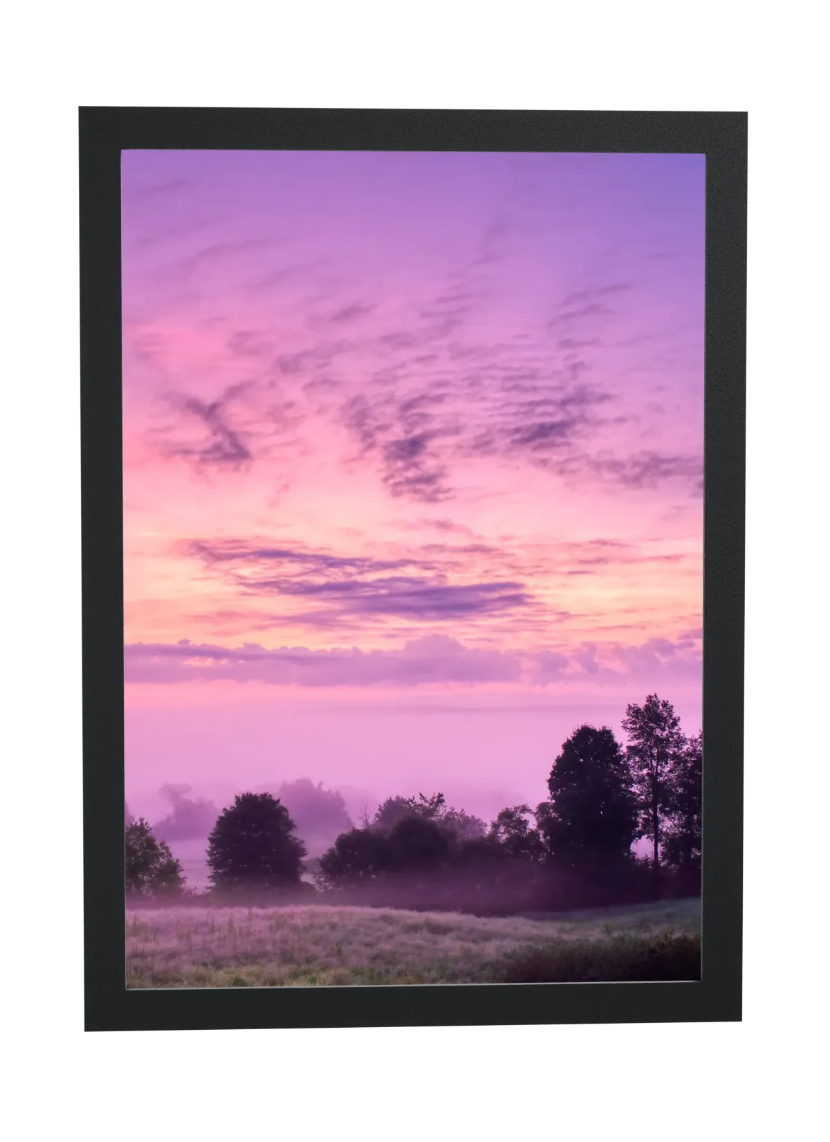 Céu rosa ao entardecer
