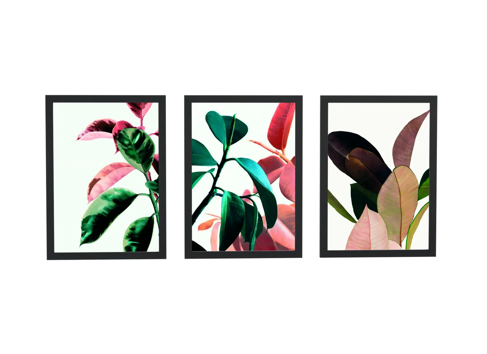 Trio de folhagem tropical rosa e verde