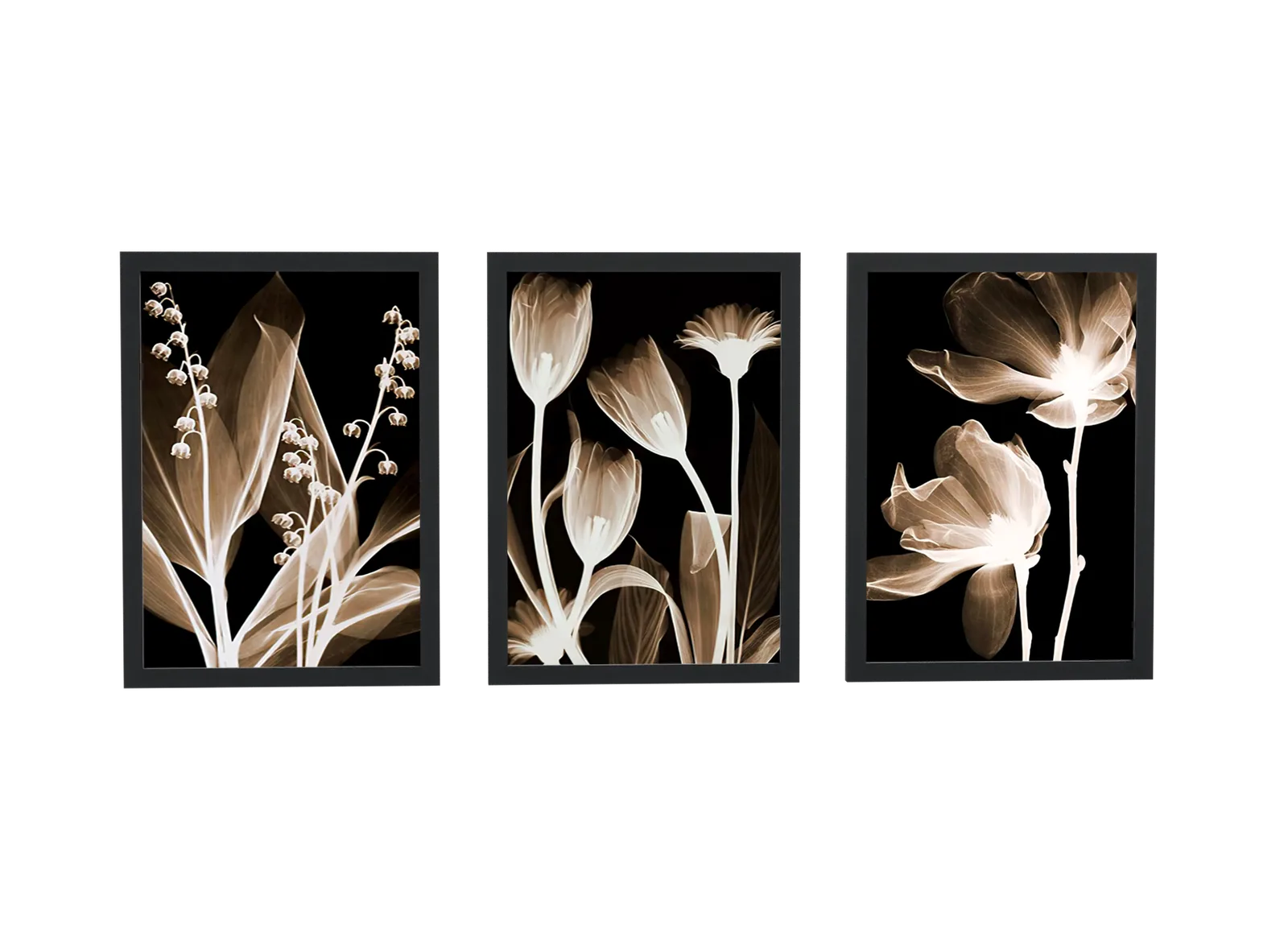 Trio de muguet e tulipas em raio-x dourado