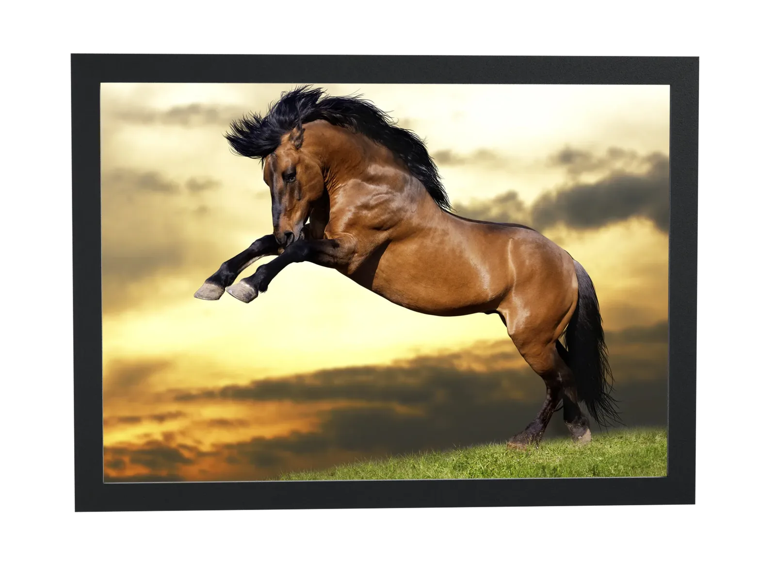 Cavalo empinando ao pôr do sol