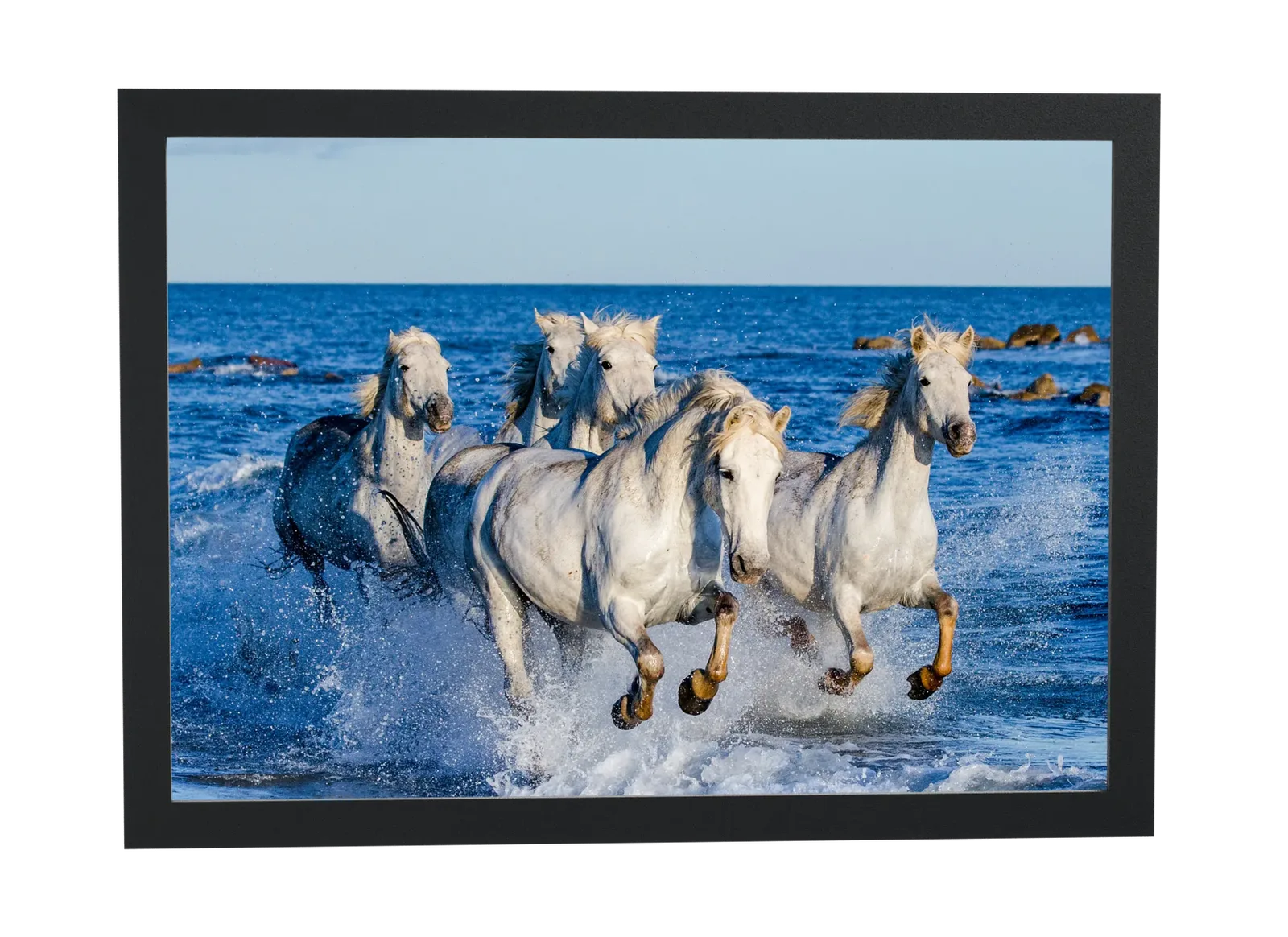 Cavalos brancos galopando no mar