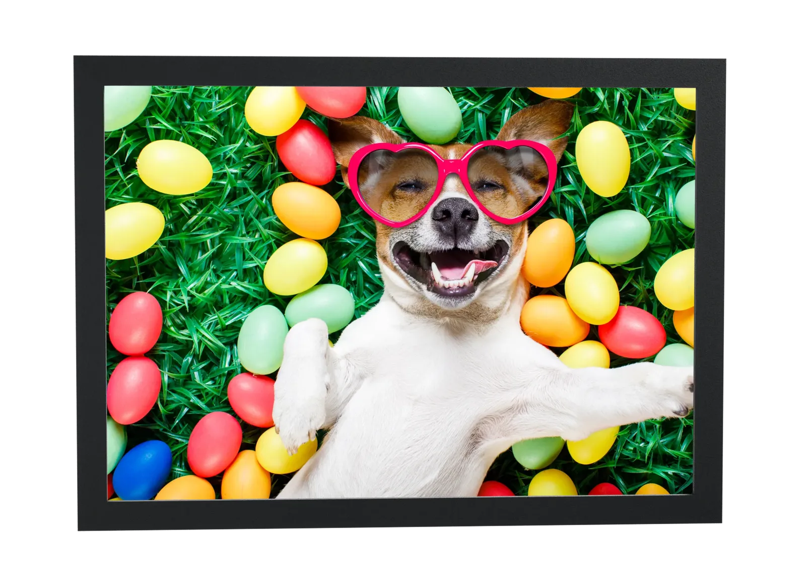 Cachorro feliz entre ovos coloridos
