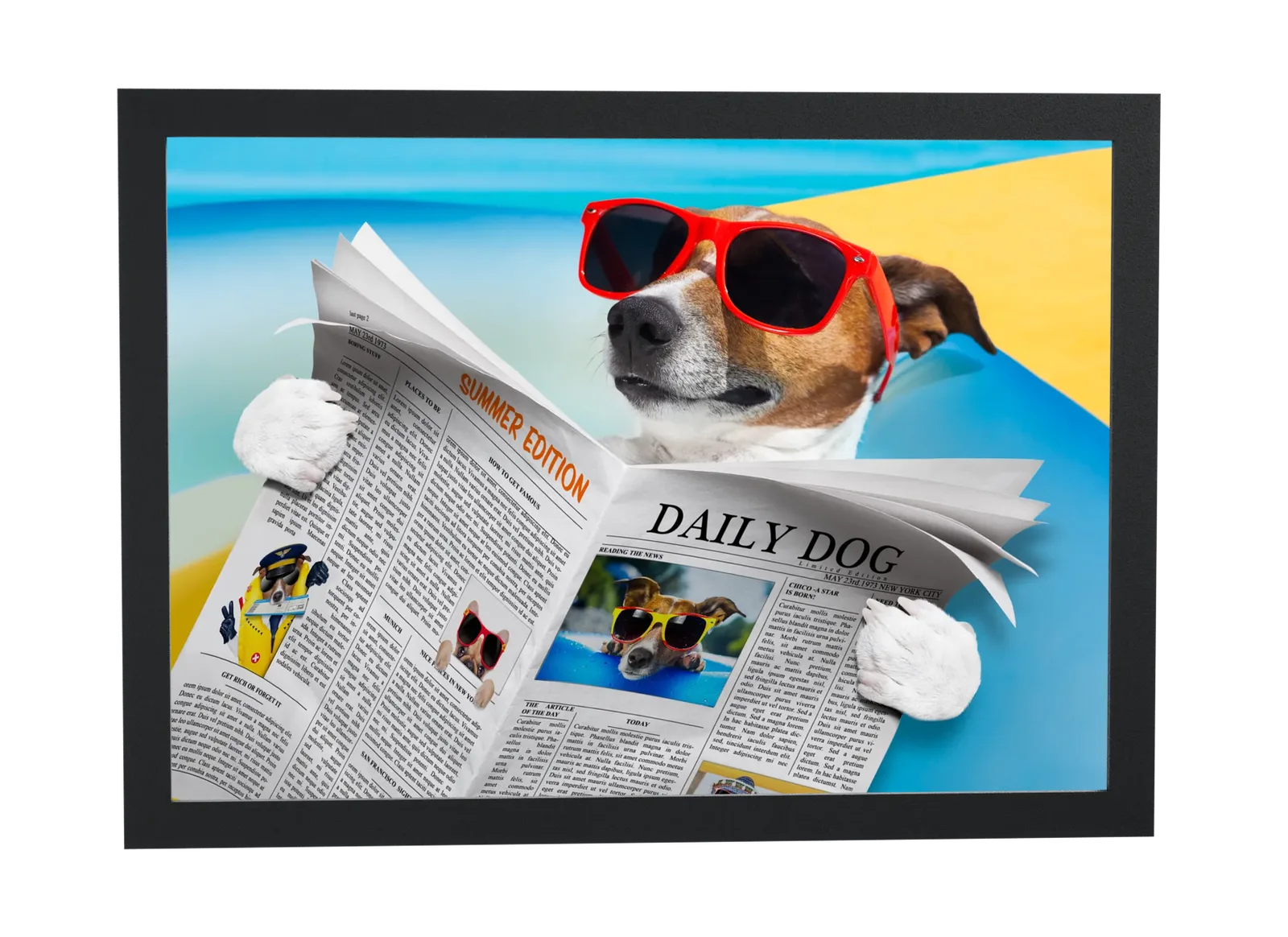 Cachorro lendo o jornal Daily Dog