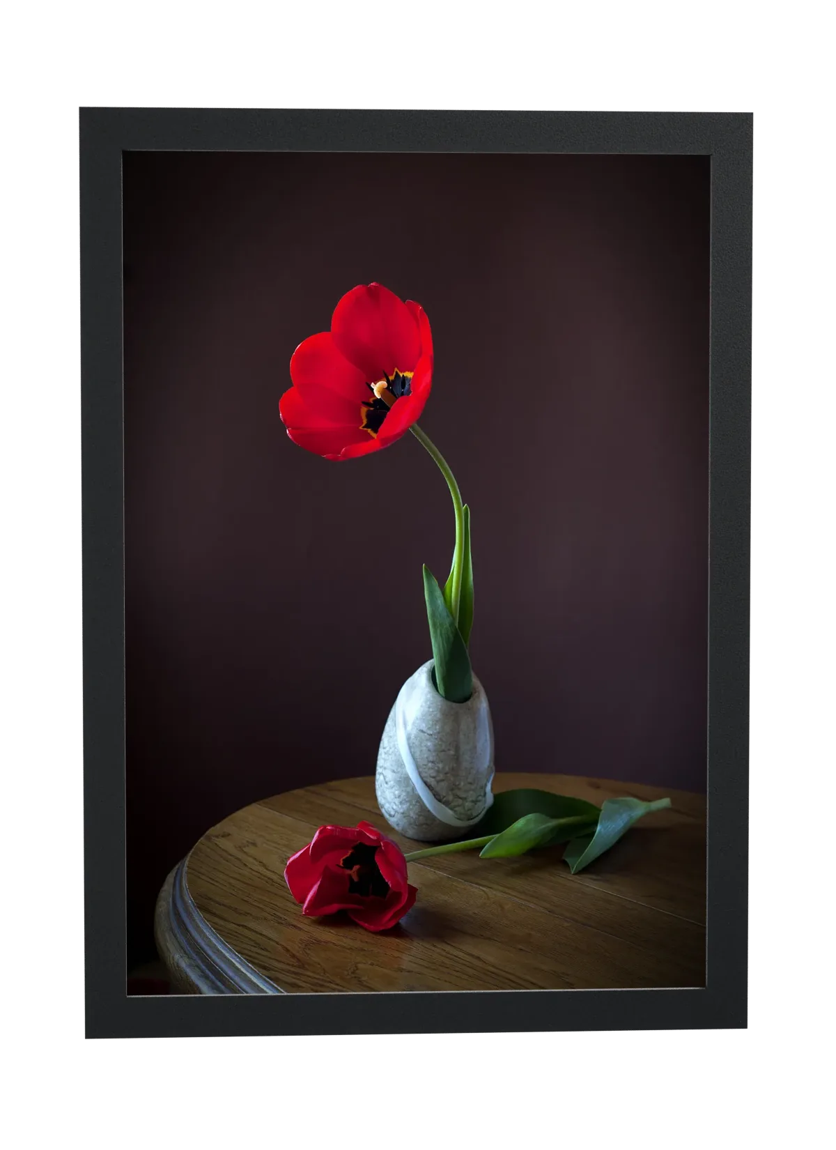 Tulipa vermelha sobre mesa de madeira
