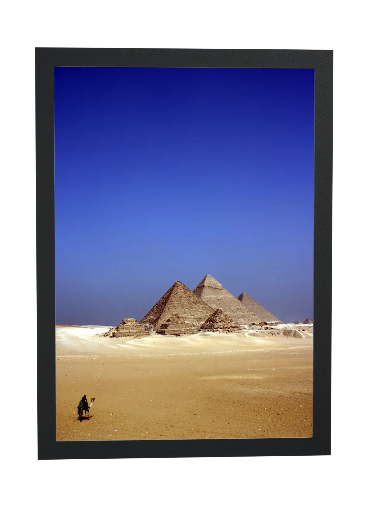 Pirâmides e camelo no deserto