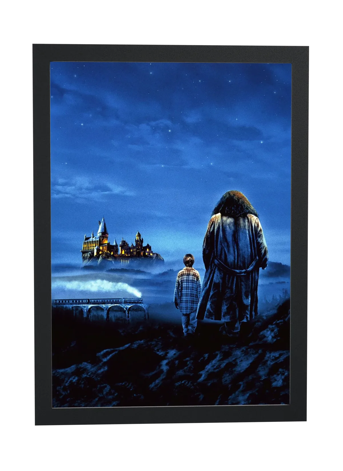 Harry Potter e a Pedra Filosofal (2001): Hagrid e Harry