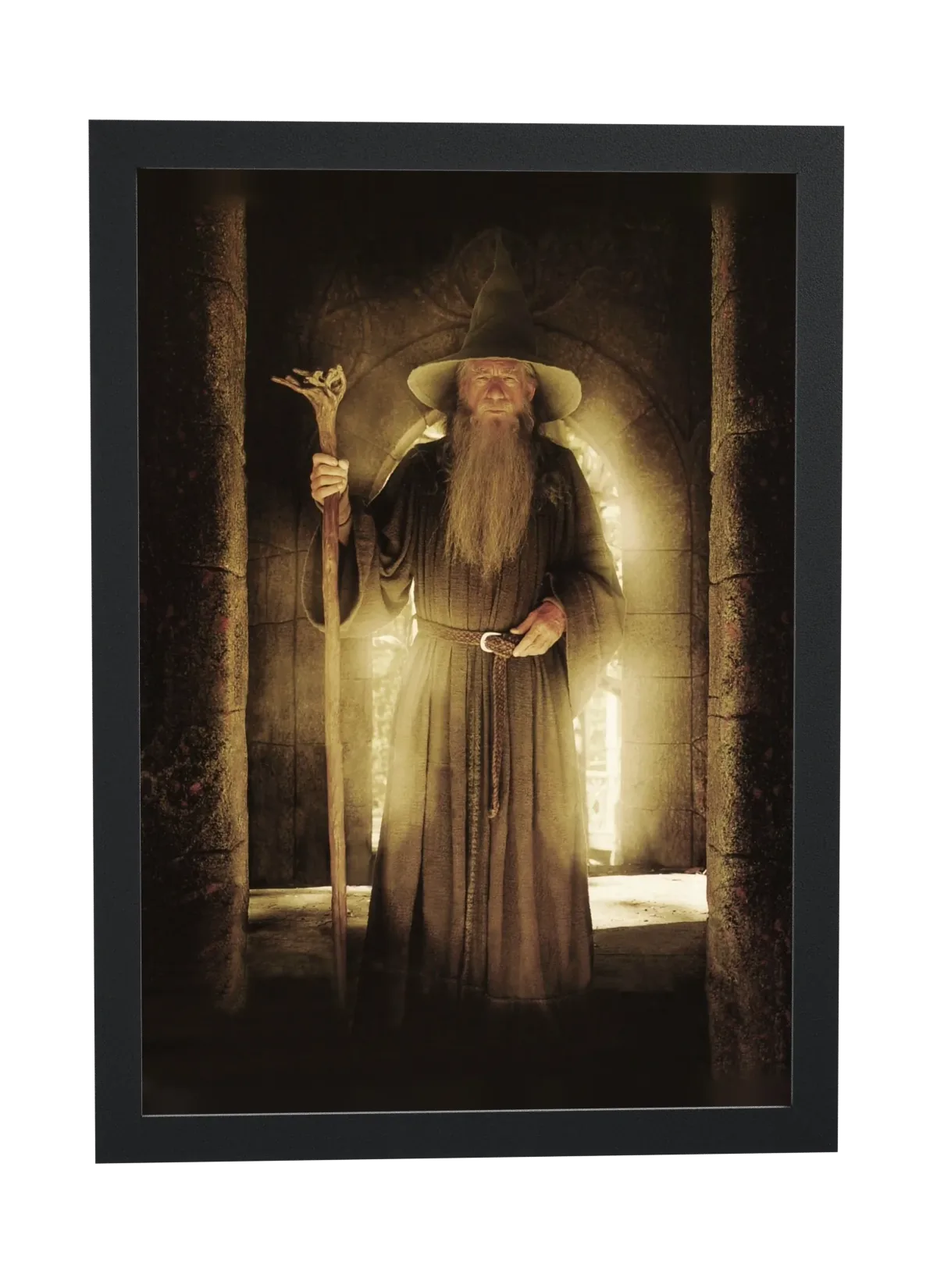 O Senhor dos Anéis A Sociedade do Anel (2001): Gandalf
