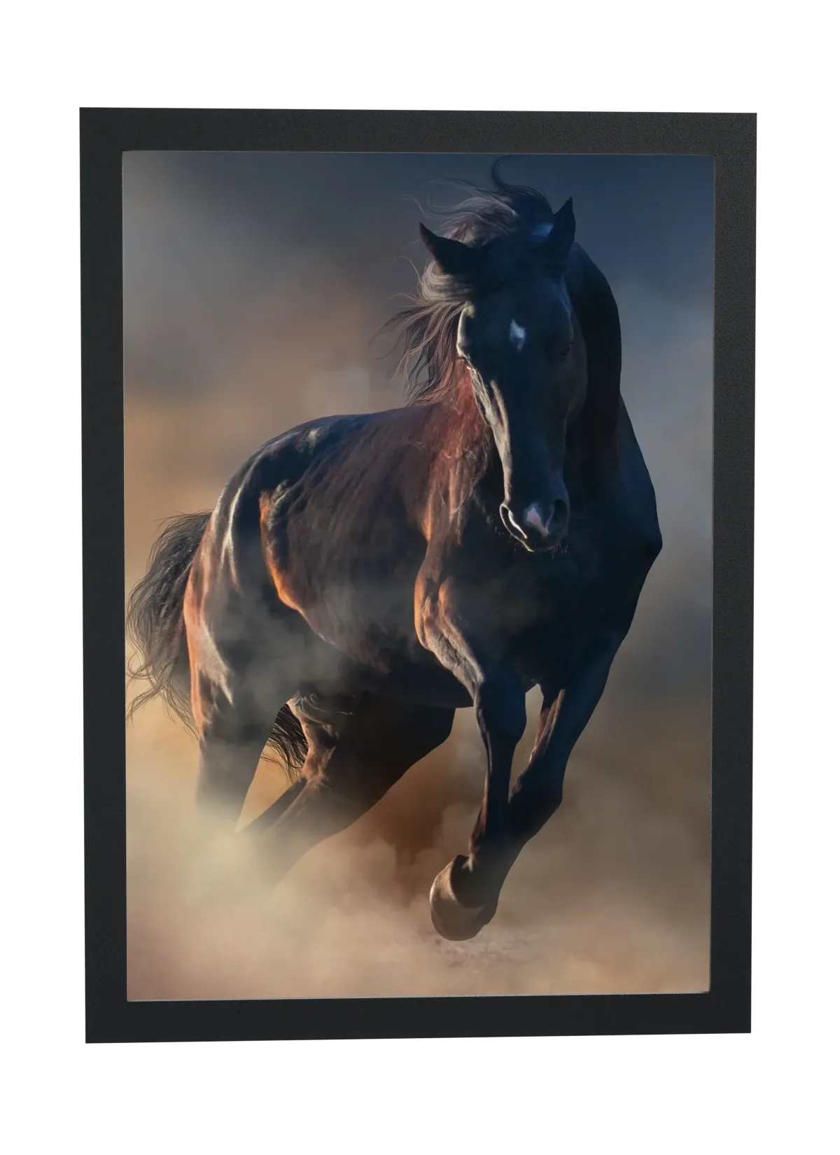 Cavalo preto correndo na poeira
