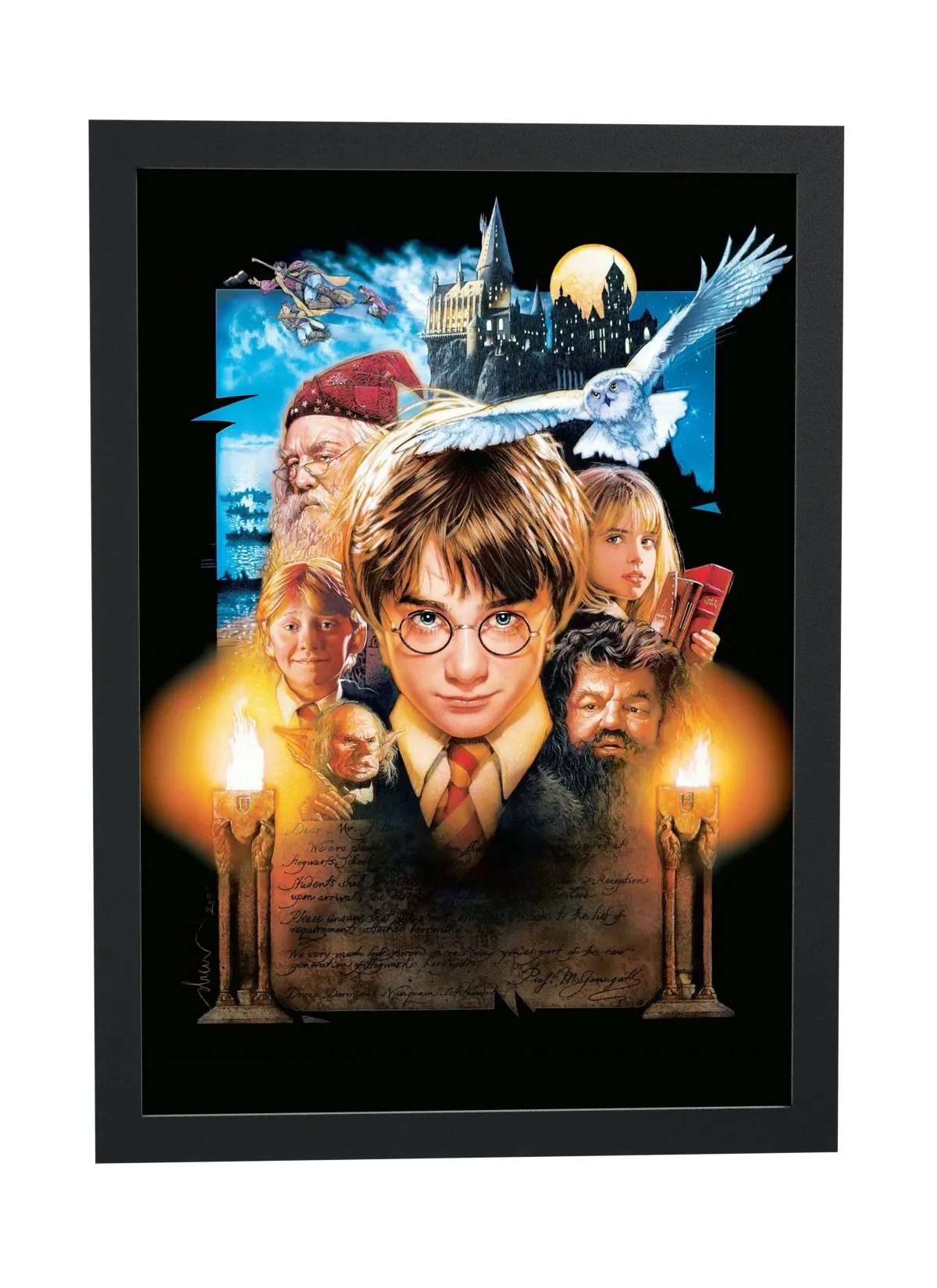 Harry Potter e a Pedra Filosofal (2001): Harry e Hedwig