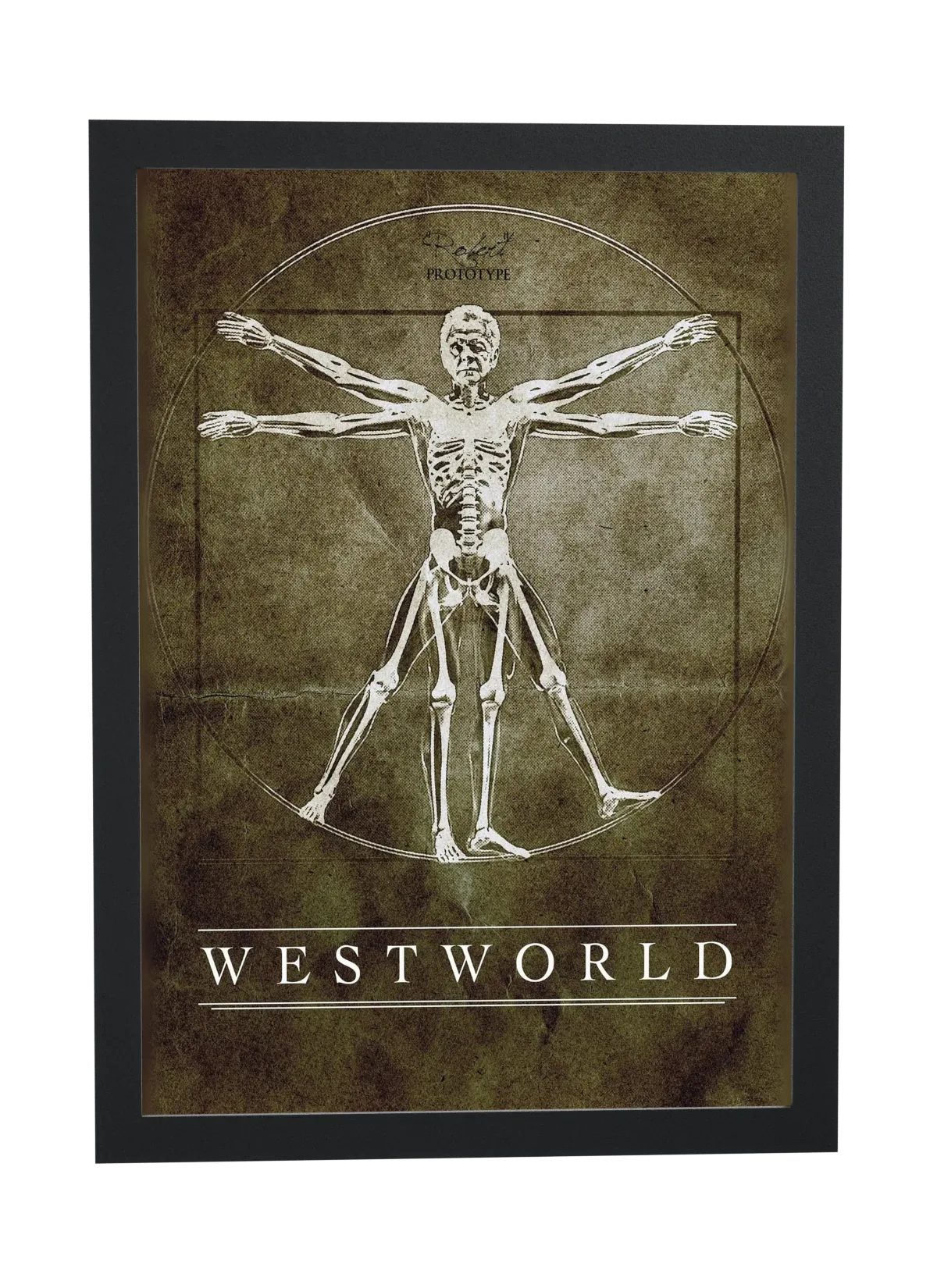 Westworld (2016): diagrama do andróide